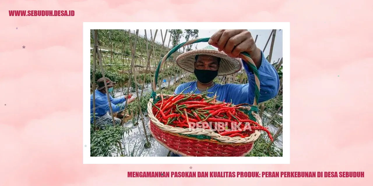 Mengamankan Pasokan dan Kualitas Produk: Peran Perkebunan di Desa Sebuduh