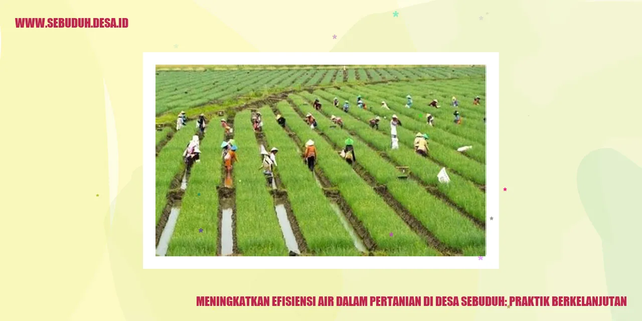 Meningkatkan Efisiensi Air dalam Pertanian di Desa Sebuduh: Praktik Berkelanjutan