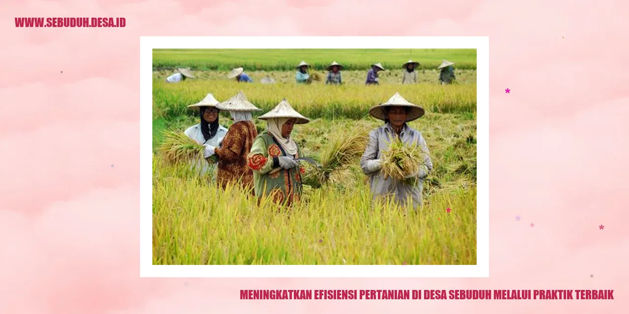 Meningkatkan Efisiensi Pertanian di Desa Sebuduh melalui Praktik Terbaik