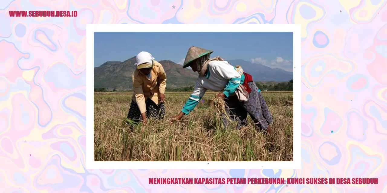 Meningkatkan Kapasitas Petani Perkebunan: Kunci Sukses di Desa Sebuduh