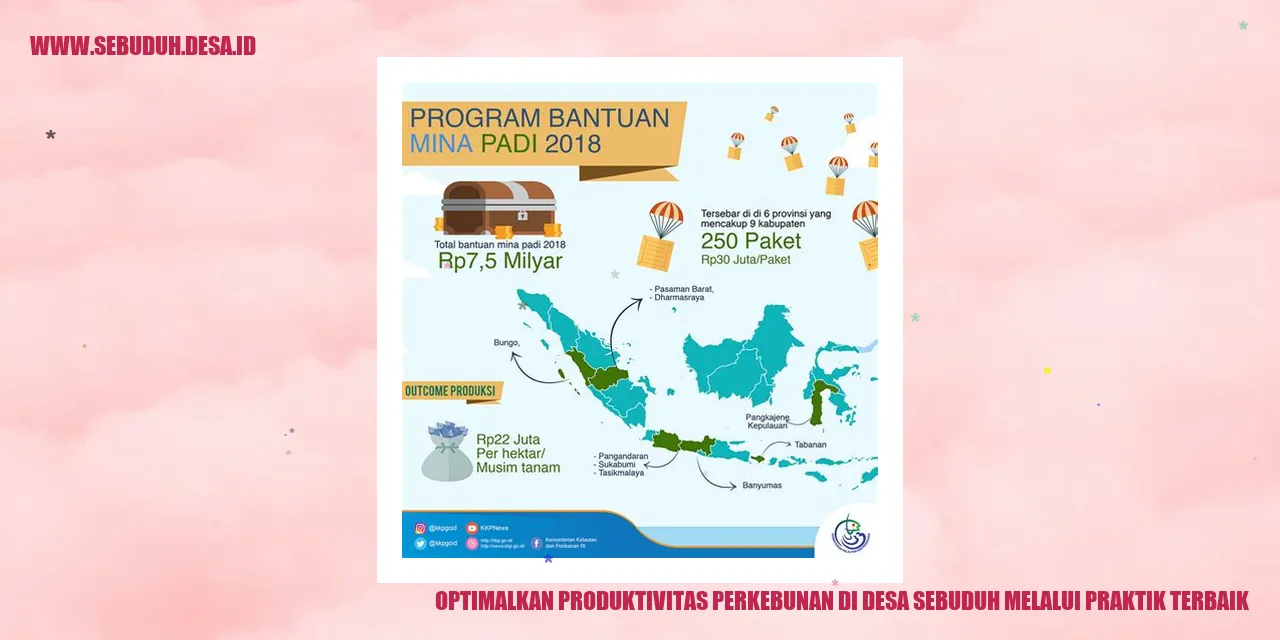 Optimalkan Produktivitas Perkebunan di Desa Sebuduh melalui Praktik Terbaik