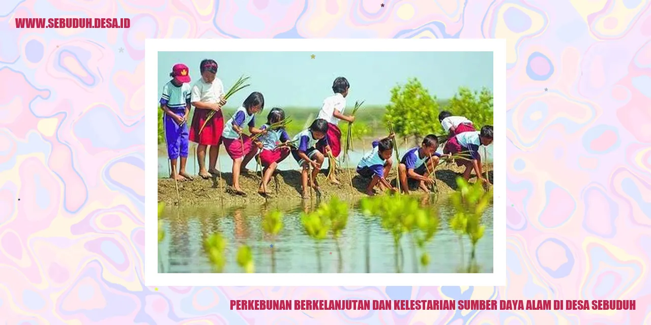 Gambar Perkebunan Berkelanjutan dan Kelestarian Sumber Daya Alam di Desa Sebuduh