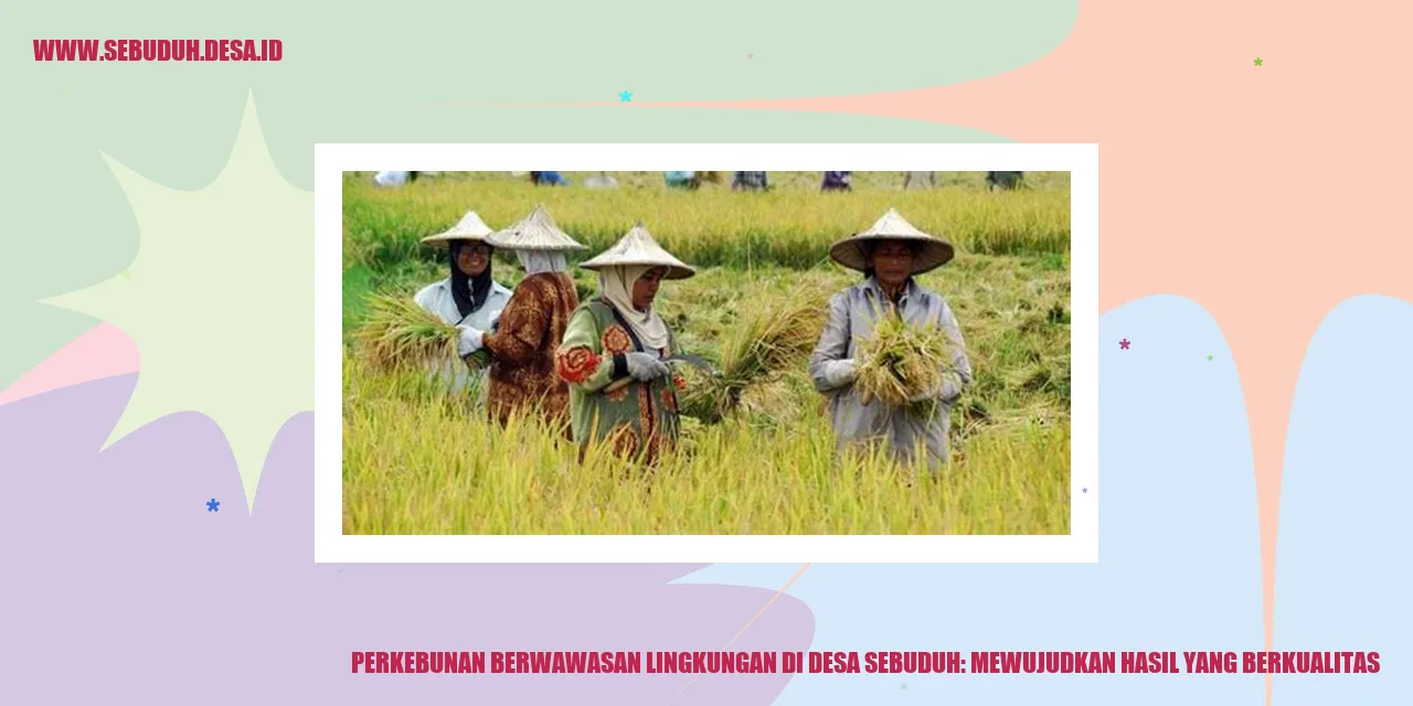 Perkebunan Berwawasan Lingkungan di Desa Sebuduh: Mewujudkan Hasil yang Berkualitas