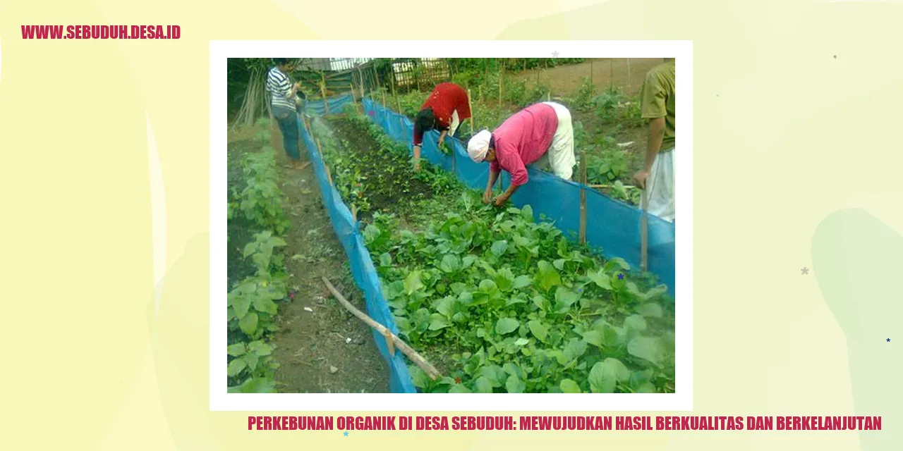 Perkebunan Organik di Desa Sebuduh: Mewujudkan Hasil Berkualitas dan Berkelanjutan