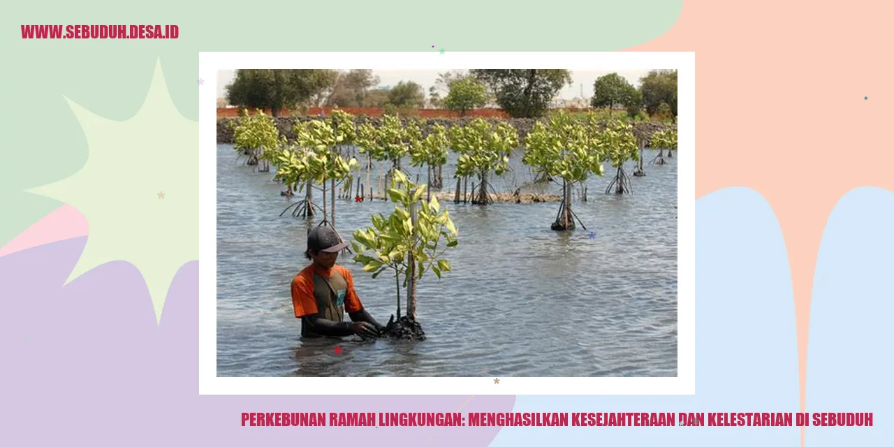 Perkebunan Ramah Lingkungan: Menghasilkan Kesejahteraan dan Kelestarian di Sebuduh