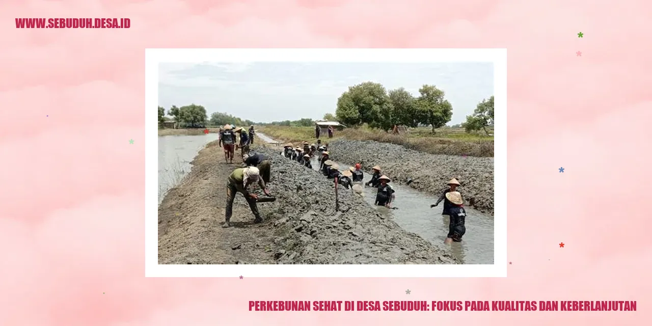 Perkebunan Sehat di Desa Sebuduh: Fokus pada Kualitas dan Keberlanjutan