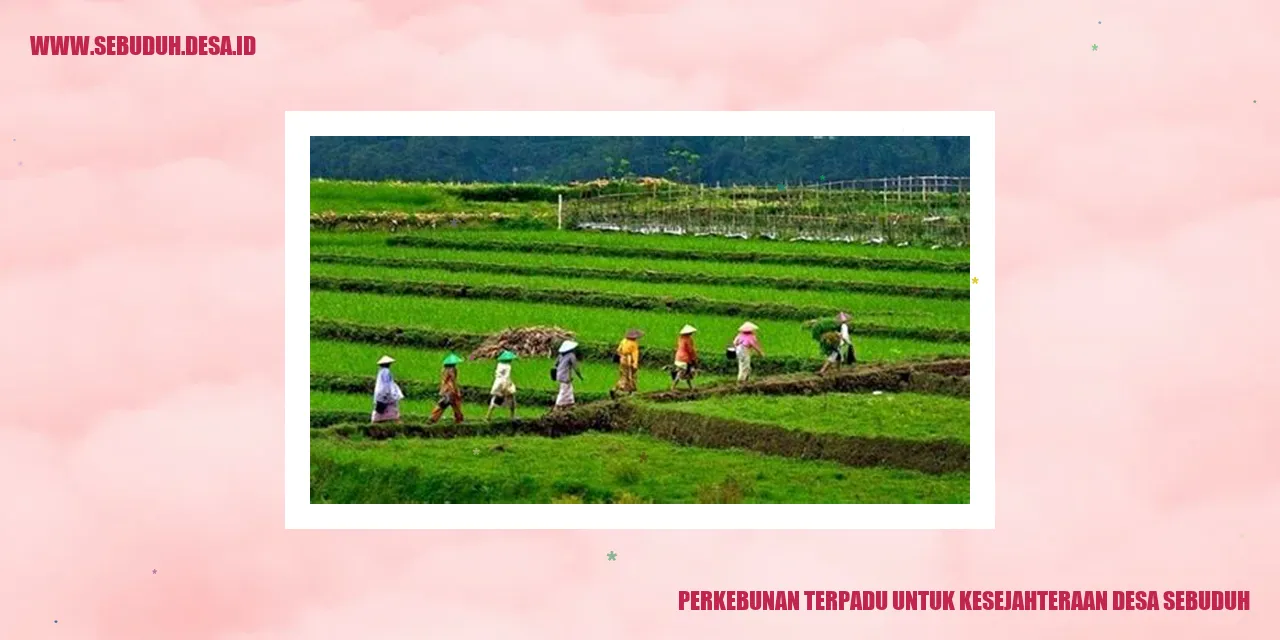 Perkebunan Terpadu untuk Kesejahteraan Desa Sebuduh