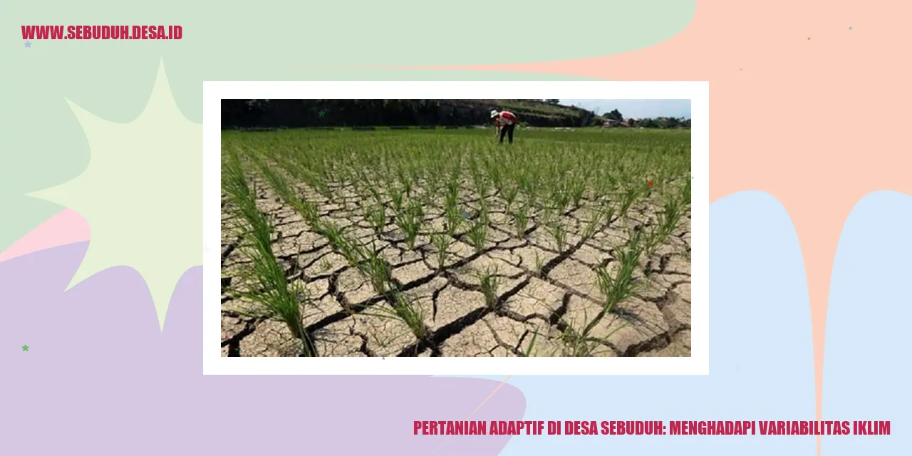 Pertanian Adaptif di Desa Sebuduh: Menghadapi Variabilitas Iklim