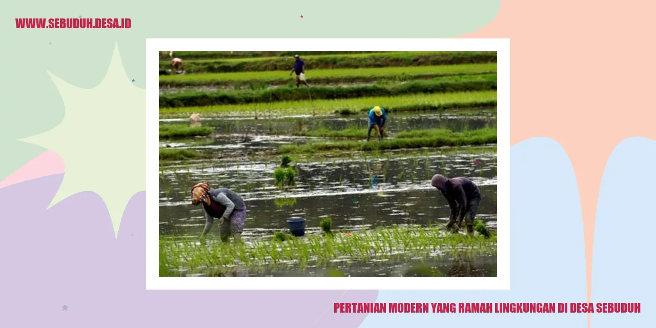 Pertanian Modern yang Ramah Lingkungan di Desa Sebuduh