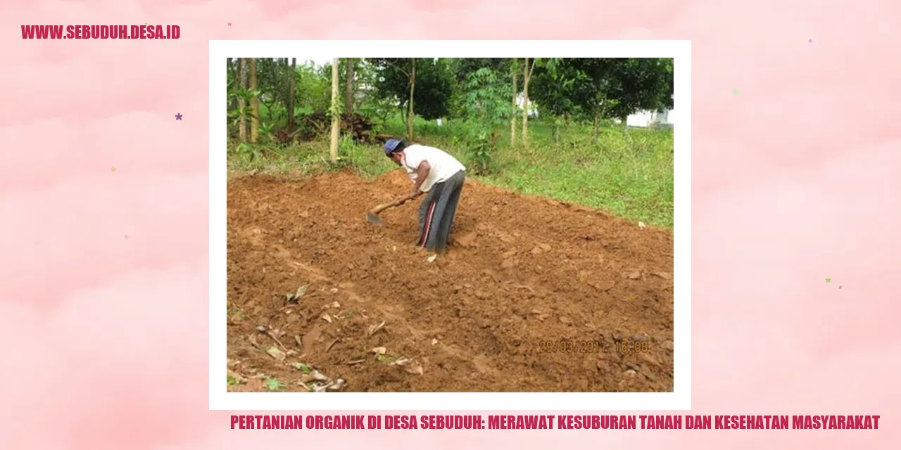 Pertanian Organik di Desa Sebuduh: Merawat Kesuburan Tanah dan Kesehatan Masyarakat