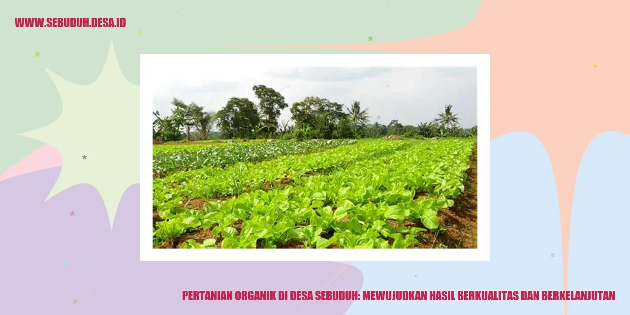 Pertanian Organik di Desa Sebuduh: Mewujudkan Hasil Berkualitas dan Berkelanjutan