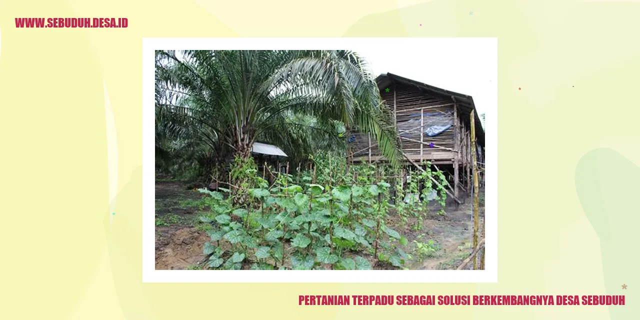 Pertanian Terpadu sebagai Solusi Berkembangnya Desa Sebuduh